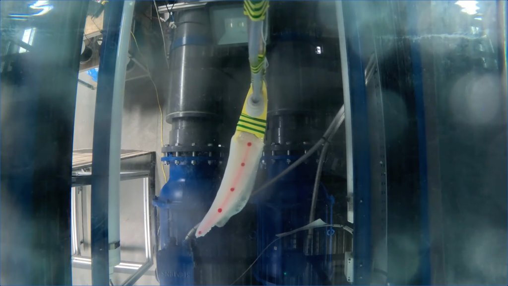 Robotic-Wing-Inspired-by-Nature-Boosts-Underwater-Stability-1024x576-1