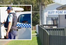 Stabbing Incident: Man Killed in Alleged Confrontation