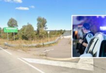 Thrilling Three-Wheel Chase Ends in Head-On Collision