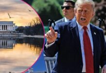 Trump’s Plan to Make Reflection Pool ‘Waterproof’ Sparks Mockery