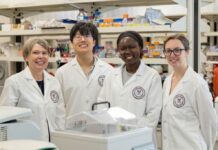 Cryptococcus: Unraveling Its Shift from Silent Infection to Deadly Fungus