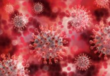 Antiviral Breakthrough: The Lightbulb Moment Revealed