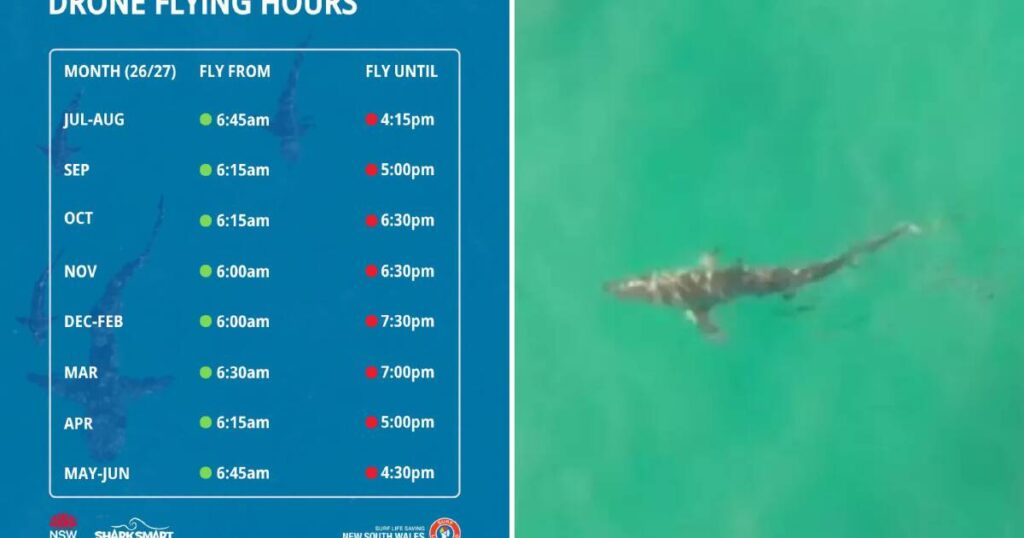 Swimmers-Spot-Drones-Over-Newcastle-Beaches-This-Spring-Live-Updates-1024x538-1