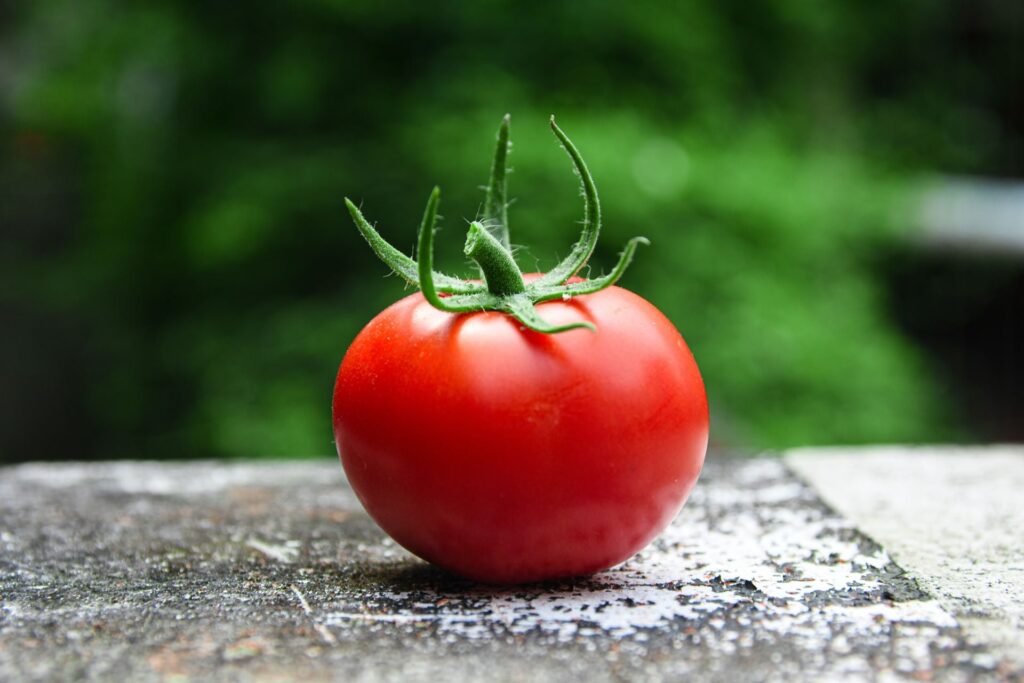 Senescent-Cells-Fuel-Inflammation-in-Aging-Tomato-Compound-Boosts-Cognition-1024x683-1